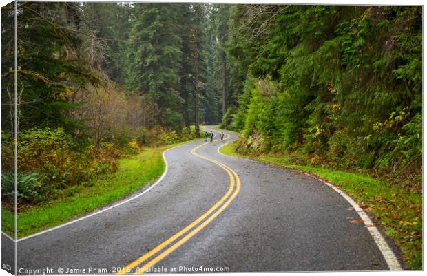 Hikers walking along a deserted road in the Hoh Ra Canvas Print by Jamie Pham