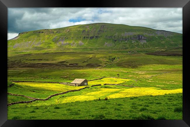 Pen y Ghent and Barn Yorkshire Dales National Park Framed Print by Nick Jenkins