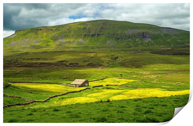 Pen y Ghent and Barn Yorkshire Dales National Park Print by Nick Jenkins