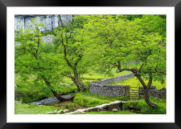 The Base of Malham Cove Yorkshire Dales in summer Framed Mounted Print by Nick Jenkins