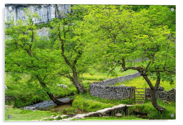 The Base of Malham Cove Yorkshire Dales in summer Acrylic by Nick Jenkins