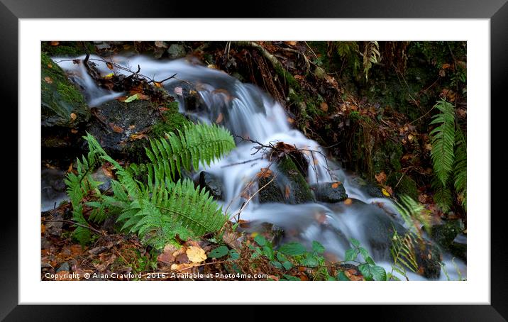 Fern and waterfall, Lake District Framed Mounted Print by Alan Crawford