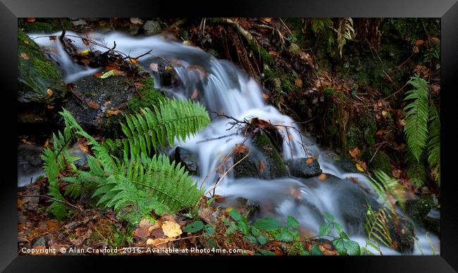 Fern and waterfall, Lake District Framed Print by Alan Crawford