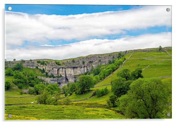 Malham Cove Summer Yorkshire Dales National Park Acrylic by Nick Jenkins