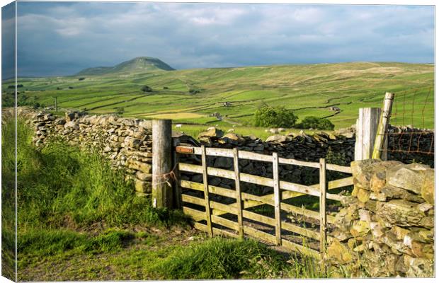 Across Ribblesdale to Pen y Ghent on a sunny day  Canvas Print by Nick Jenkins