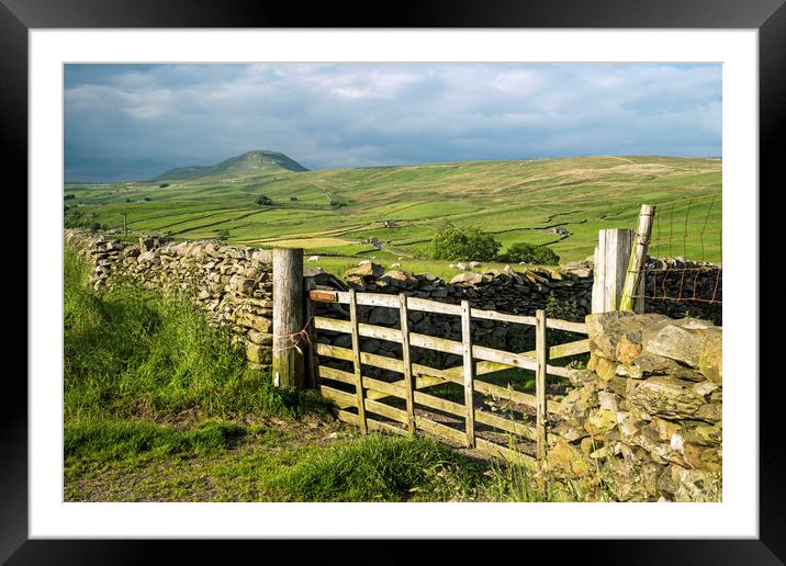 Across Ribblesdale to Pen y Ghent on a sunny day  Framed Mounted Print by Nick Jenkins