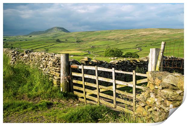 Across Ribblesdale to Pen y Ghent on a sunny day  Print by Nick Jenkins