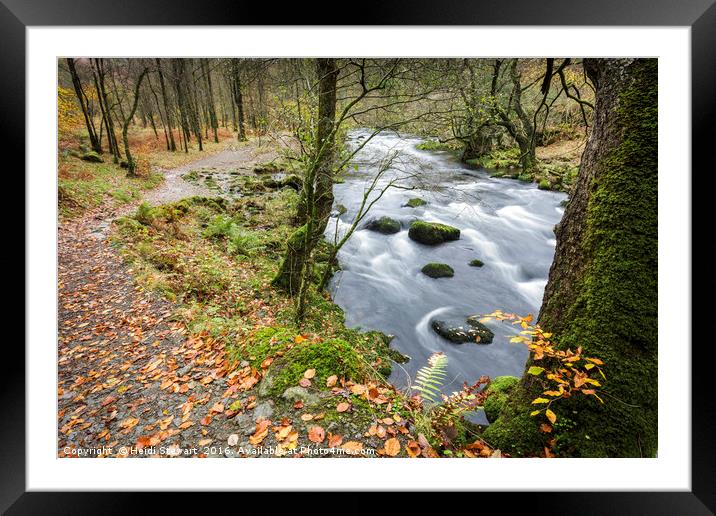 The River Rothay in Autumn Framed Mounted Print by Heidi Stewart