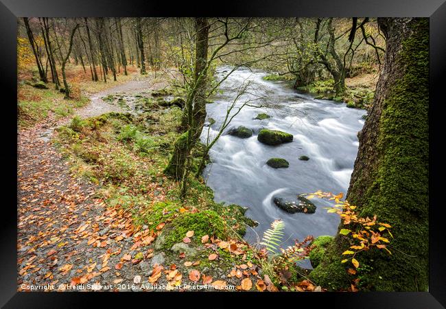 The River Rothay in Autumn Framed Print by Heidi Stewart
