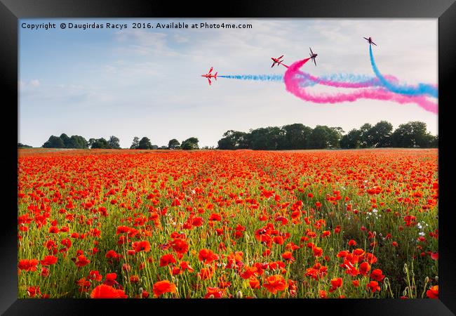 Red Arrows acrobatic flight over poppy field Framed Print by Daugirdas Racys