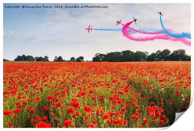 Red Arrows acrobatic flight over poppy field Print by Daugirdas Racys