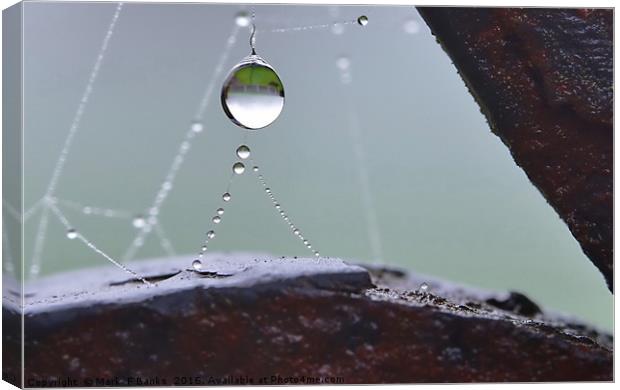 Hanging Dewdrop  Canvas Print by Mark  F Banks