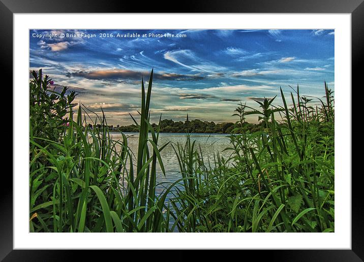 View from the reeds Framed Mounted Print by Brian Fagan