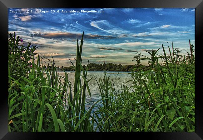 View from the reeds Framed Print by Brian Fagan