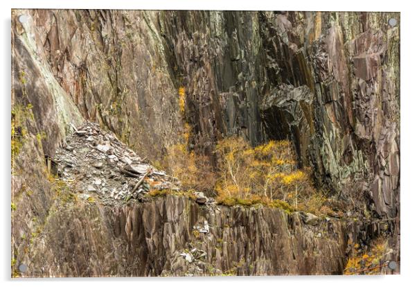 The Abandoned Slate Quarry Llanberis Snowdonia Acrylic by Nick Jenkins