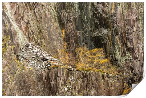 The Abandoned Slate Quarry Llanberis Snowdonia Print by Nick Jenkins
