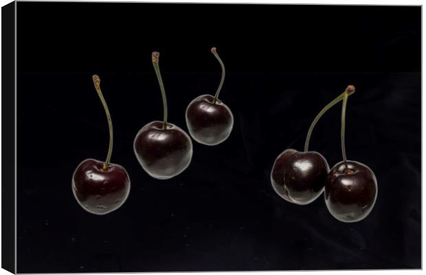 Fresh Cherries Canvas Print by David French