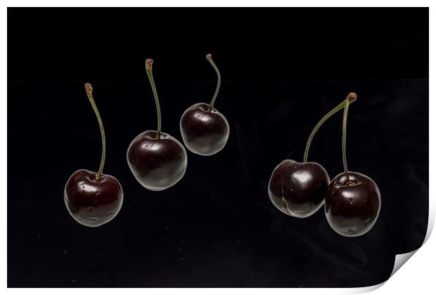 Fresh Cherries Print by David French