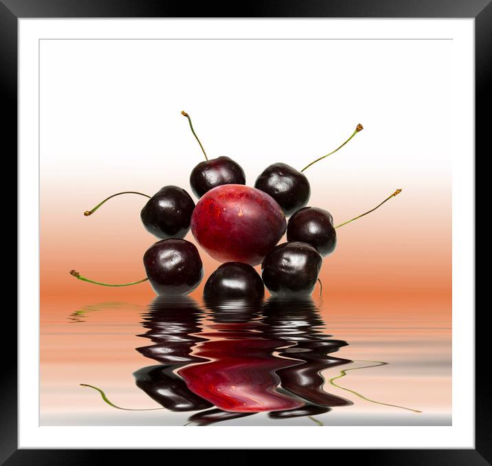 Fresh Cherries and Plums Framed Mounted Print by David French