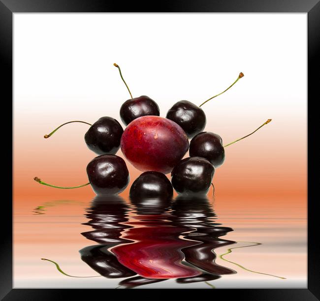 Fresh Cherries and Plums Framed Print by David French