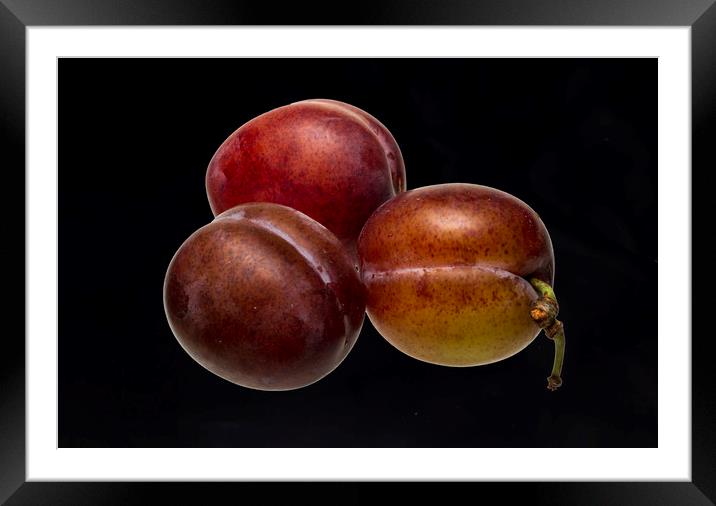 Victoria Plums Framed Mounted Print by David French