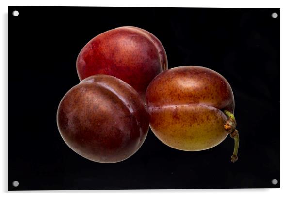 Victoria Plums Acrylic by David French