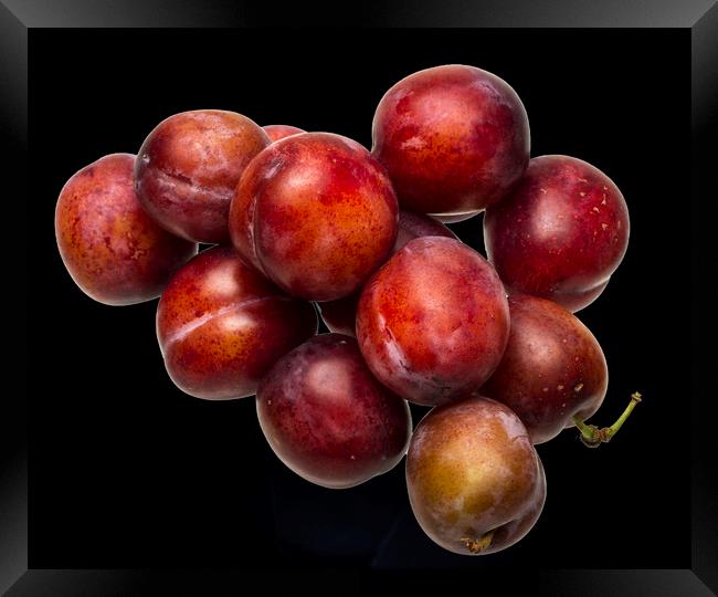 Victoria Plums Framed Print by David French
