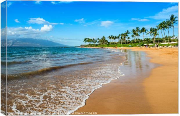 Beautiful and idyllic Napili Beach in Maui, Hawaii Canvas Print by Jamie Pham