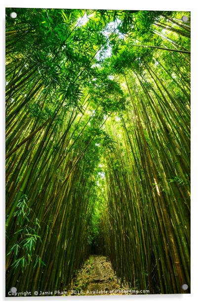 The magical and mysterious bamboo forest of Maui. Acrylic by Jamie Pham