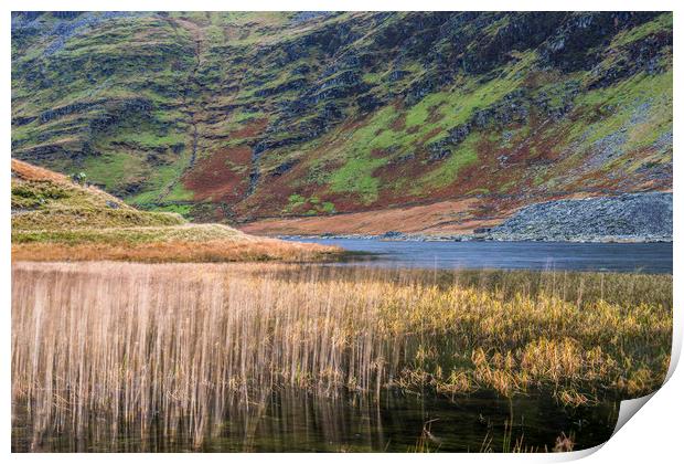 The Lake at Cwm Orthin North Wales  Print by Nick Jenkins