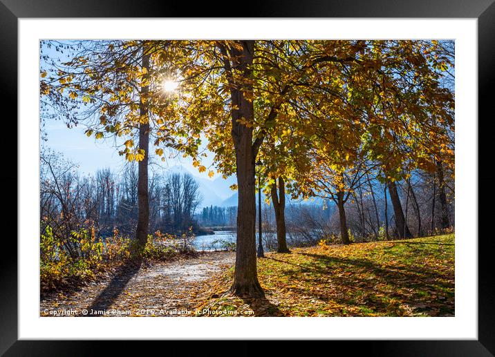 Fall foliage in Leavenworth Waterfront Park in Was Framed Mounted Print by Jamie Pham