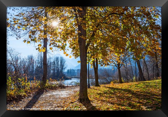 Fall foliage in Leavenworth Waterfront Park in Was Framed Print by Jamie Pham