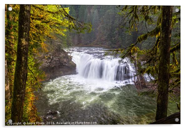 Lower Lewis River Falls in Washington State. Acrylic by Jamie Pham