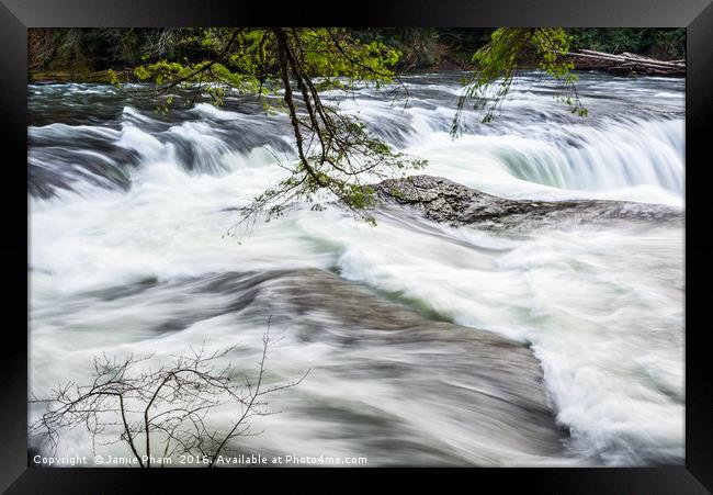 Lower Lewis River Falls in Washington State. Framed Print by Jamie Pham