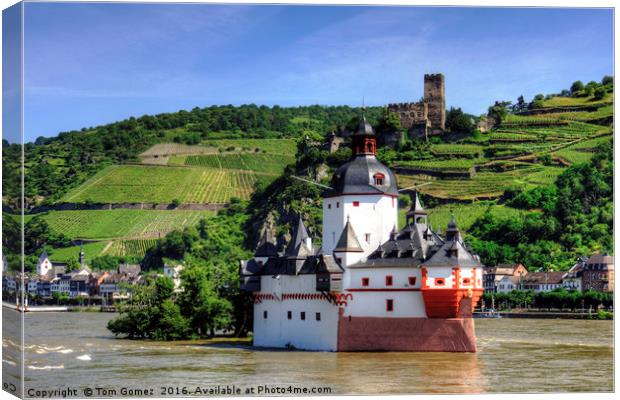 Burg Pfalzgrafenstein Canvas Print by Tom Gomez