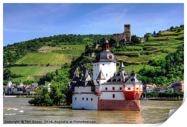 Burg Pfalzgrafenstein Print by Tom Gomez