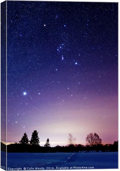 Orion and Sirius in the Winter Sky Canvas Print by Colin Woods