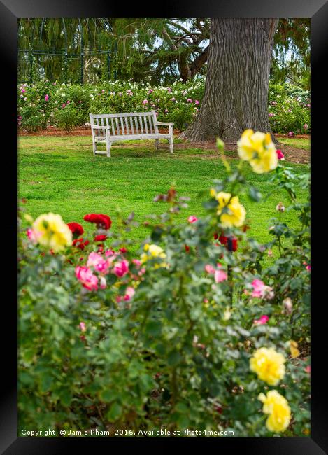 Beautiful Rose Garden of the Huntington Library. Framed Print by Jamie Pham
