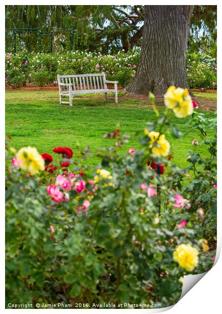 Beautiful Rose Garden of the Huntington Library. Print by Jamie Pham