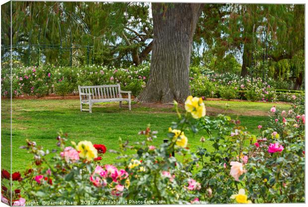 Beautiful Rose Garden of the Huntington Library. Canvas Print by Jamie Pham
