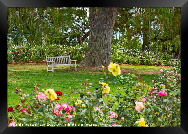Beautiful Rose Garden of the Huntington Library. Framed Print by Jamie Pham