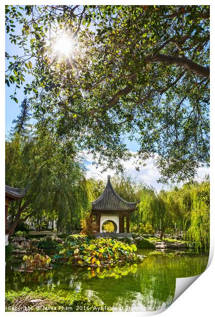 Beautiful Chinese Garden at the Huntington Library Print by Jamie Pham