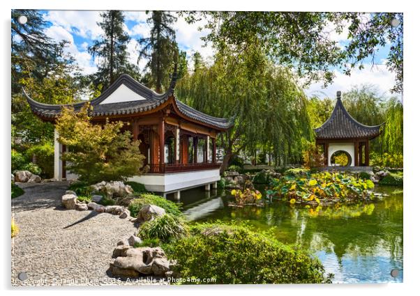 Beautiful Chinese Garden at the Huntington Library Acrylic by Jamie Pham