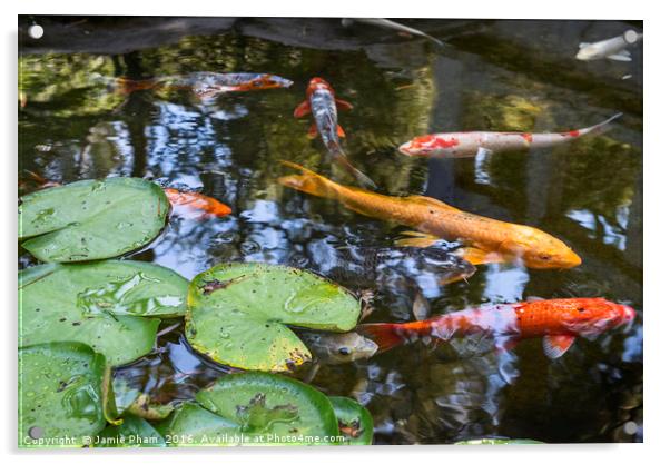 Beautiful koi fish and lily pads in a garden. Acrylic by Jamie Pham