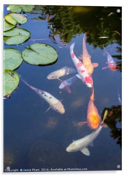 Beautiful koi fish and lily pads in a garden. Acrylic by Jamie Pham
