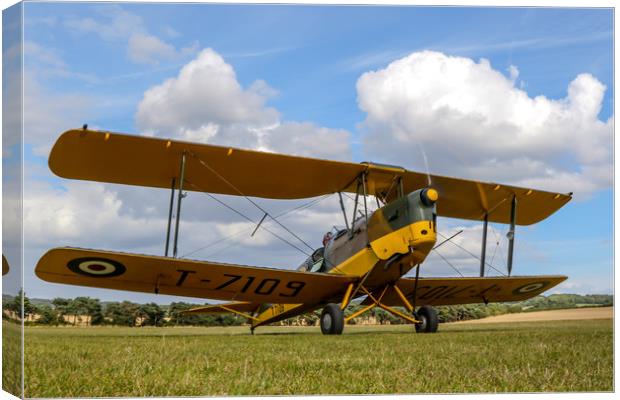 Tiger Moth at Chiltern Aeropark Canvas Print by Oxon Images