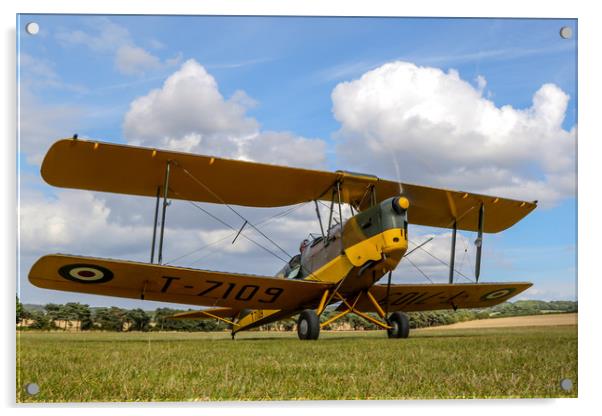 Tiger Moth at Chiltern Aeropark Acrylic by Oxon Images