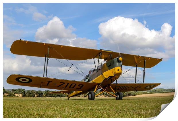 Tiger Moth at Chiltern Aeropark Print by Oxon Images