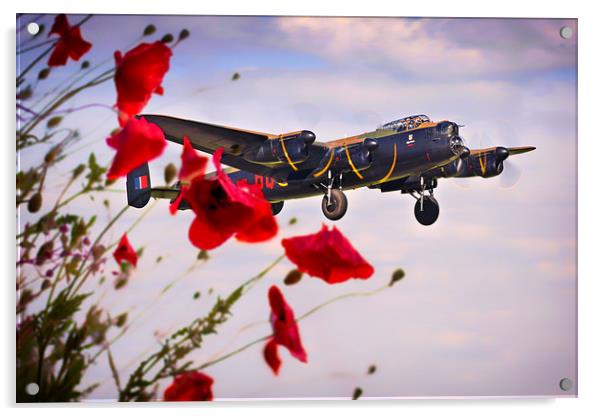 Lancaster Poppy Approach Acrylic by J Biggadike