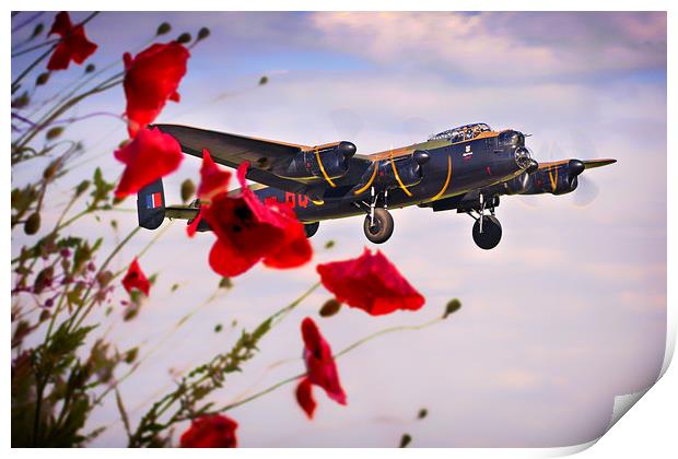 Lancaster Poppy Approach Print by J Biggadike